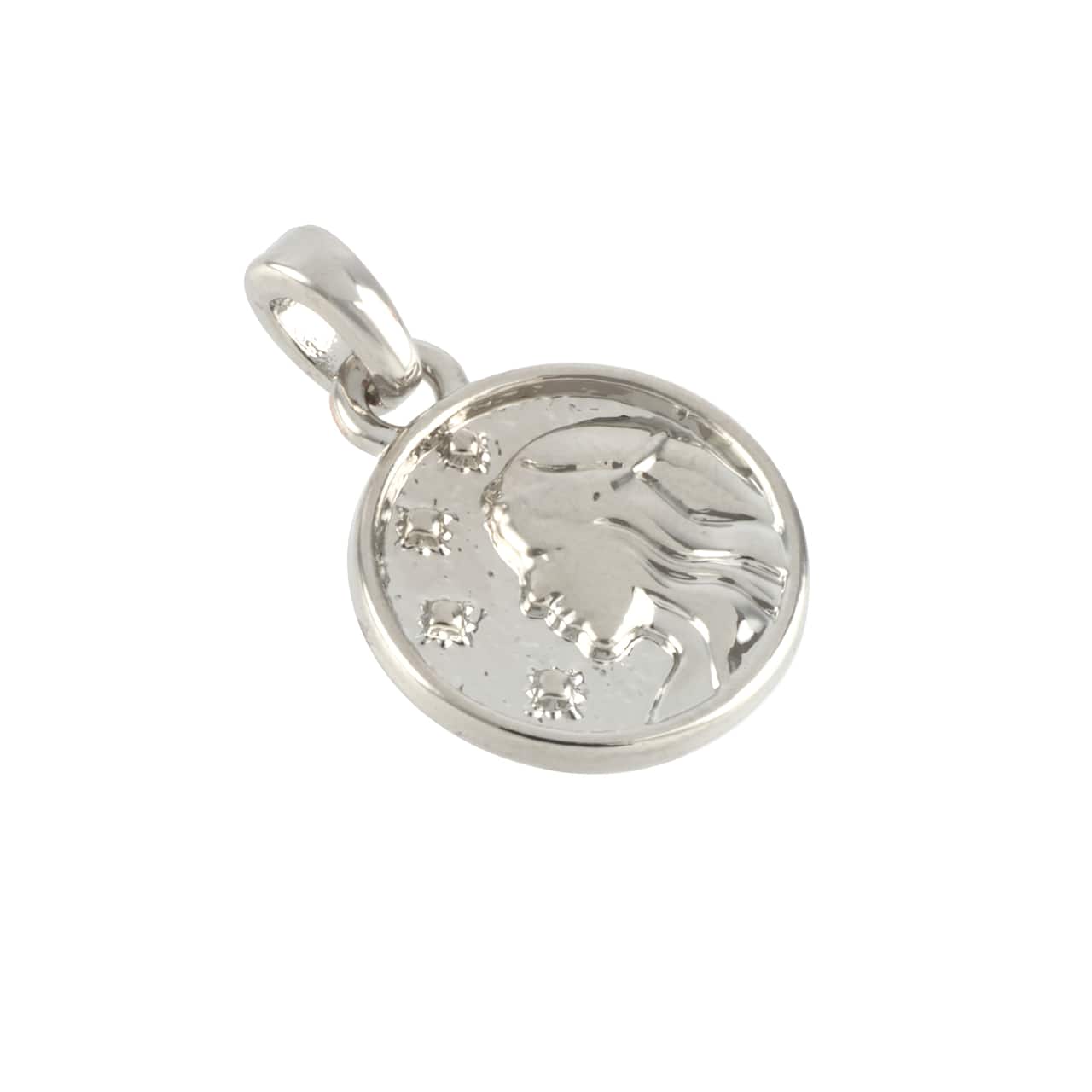 12 Pack: Metal Zodiac Coin Charm by Bead Landing™